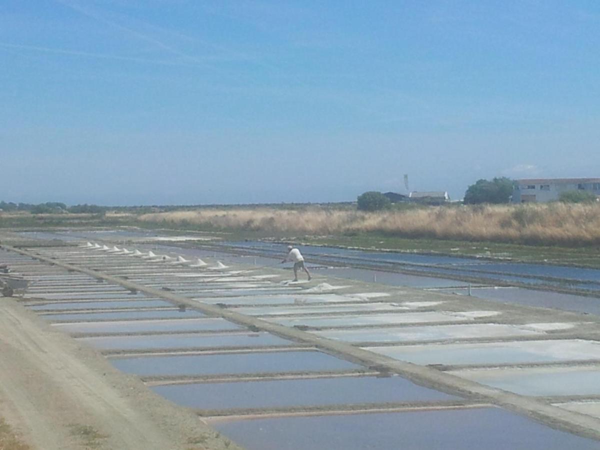 La Passerose 3 Pieces Avec Jardin Au Calme,A 300M De La Plage, Panzió La Couarde-sur-Mer Kültér fotó