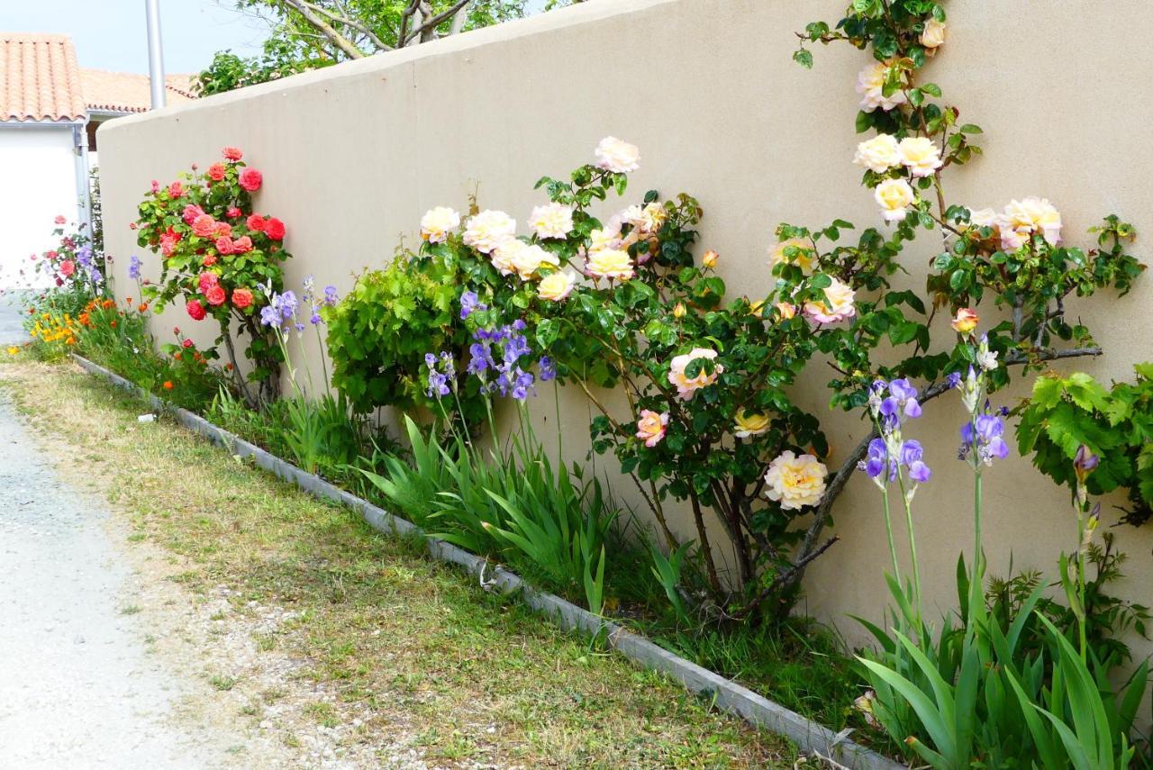 La Passerose 3 Pieces Avec Jardin Au Calme,A 300M De La Plage, Panzió La Couarde-sur-Mer Kültér fotó