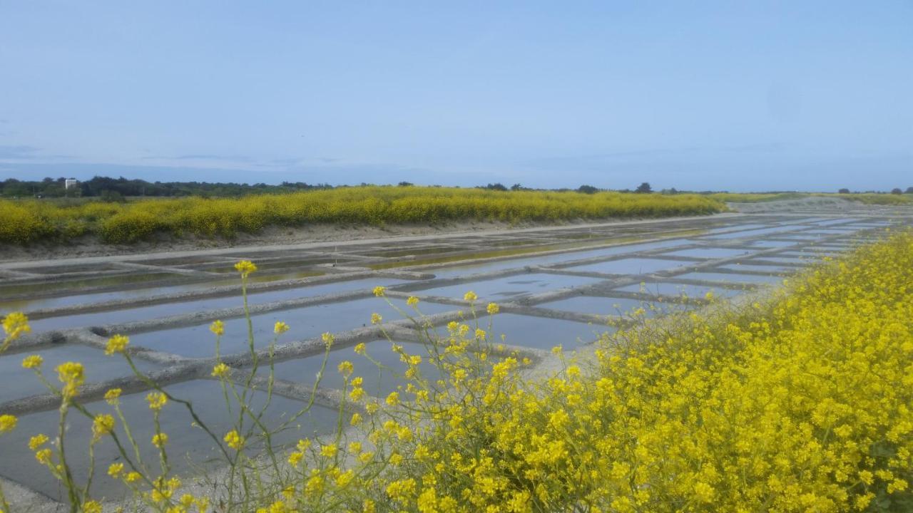 La Passerose 3 Pieces Avec Jardin Au Calme,A 300M De La Plage, Panzió La Couarde-sur-Mer Kültér fotó